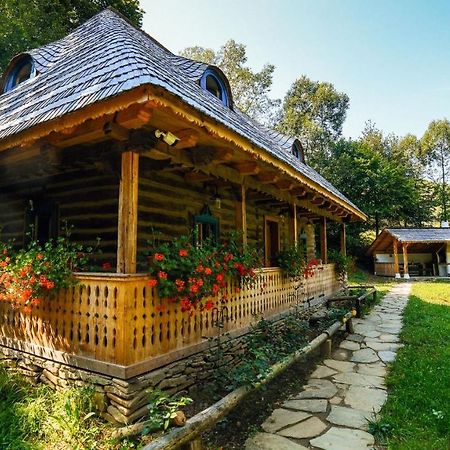 Casa Lu' Ion Villa Viseu de Sus Exterior photo