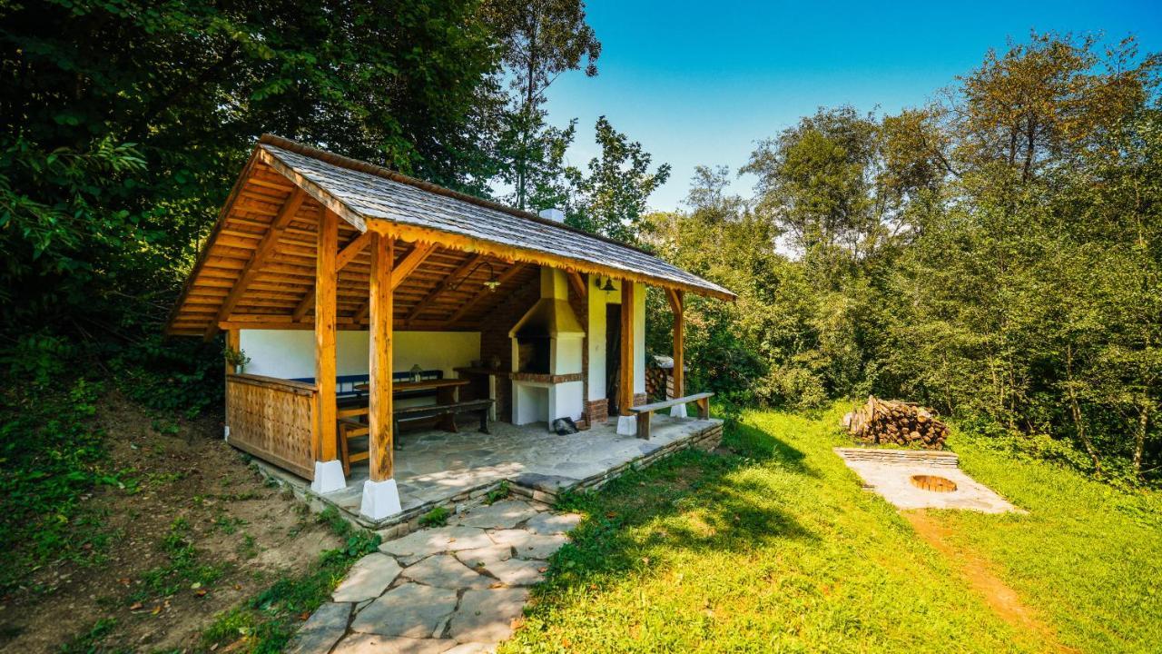 Casa Lu' Ion Villa Viseu de Sus Exterior photo